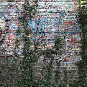 POTW – Nature Overwriting Graffiti